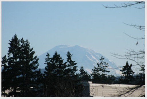 Rainier_20080121B