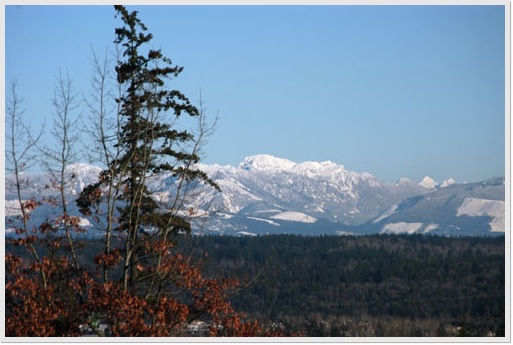 Cascades_20080121B