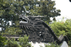 DSC_1118.jpg