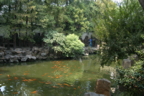 DSC_1130.jpg