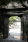 DSC_1156.jpg